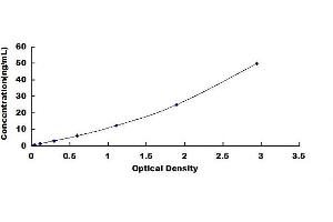 Apolipoprotein A-II (APOA2) ELISA Kit