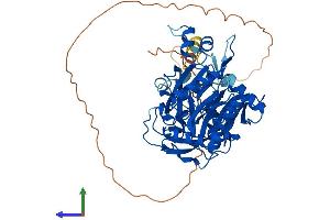Protein Structure (PS) image for N-Myristoyltransferase 2 (NMT2) (AA 1-529) protein (His tag) (ABIN7562535)