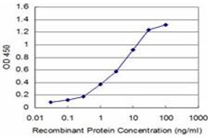 Detection limit for recombinant GST tagged NEUROG3 is approximately 0. (Neurogenin 3 Antikörper  (AA 1-101))
