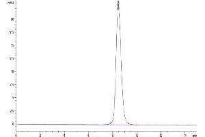 Size-exclusion chromatography-High Pressure Liquid Chromatography (SEC-HPLC) image for CD200 Receptor 1 (CD200R1) (AA 26-238) protein (His tag) (ABIN7274124)