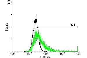 FACS analysis of negative control 293 cells (Black) and HLA-DQB1 expressing 293 cells (Green) using HLA-DQB1 purified MaxPab mouse polyclonal antibody. (HLA-DQB1 Antikörper  (AA 1-261))