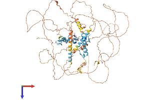 ZNF148 Protein (AA 1-794) (His tag)