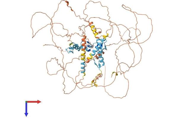 ZNF148 Protein (AA 1-794) (His tag)