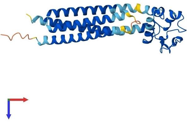 CD151 Protein (CD151) (AA 1-253) (His tag)