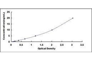 Cat Eye Syndrome Chromosome Region, Candidate 1 (CECR1) ELISA Kit