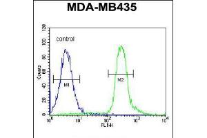 Flow cytometric analysis of MDA-MB435 cells (right histogram) compared to a negative control cell (left histogram). (VPS52 Antikörper  (C-Term))