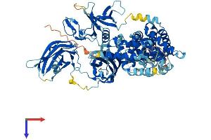 Protein Structure (PS) image for RAS P21 Protein Activator 4 (RASA4) (AA 1-802) protein (His tag) (ABIN7564125)