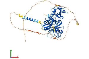 Protein Structure (PS) image for Transmembrane Protease, Serine 13 (TMPRSS13) (AA 1-543) protein (His tag) (ABIN7557556)