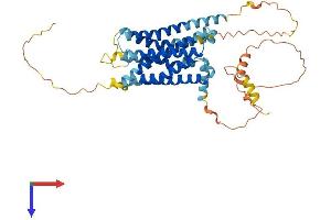 GPR61 Protein (AA 1-451) (His tag)