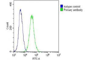 Overlay histogram showing NIH/3T3 cells stained with (ABIN6242247 and ABIN6578666) (green line). (COX IV Antikörper  (AA 115-169))