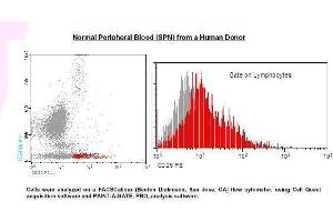 Image no. 1 for anti-Interleukin 2 Receptor, alpha (IL2RA) antibody (PE) (ABIN1112100) (CD25 Antikörper  (PE))