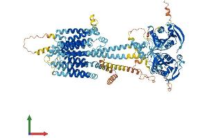 Protein Structure (PS) image for Adenylate Cyclase 2 (Brain) (ADCY2) (AA 1-1090) protein (His tag) (ABIN7564236)