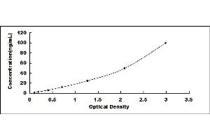 Typical standard curve (PPIA ELISA Kit)