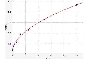 Typical standard curve