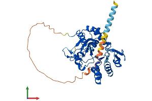 AlphaFold protein structure predicition of Human Recombinant ST8SIA2 Protein, UniprotID Q92186