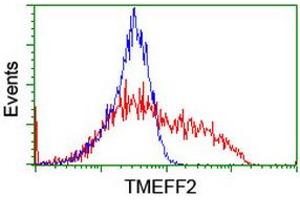 Image no. 1 for anti-Transmembrane Protein with EGF-Like and Two Follistatin-Like Domains 2 (TMEFF2) antibody (ABIN1501417) (TMEFF2 Antikörper)