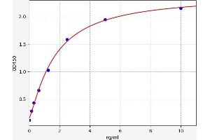 Typical standard curve (CYP3A5 ELISA Kit)
