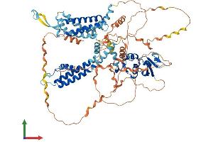 AlphaFold protein structure predicition of Human Recombinant KCNC3 Protein, UniprotID Q14003