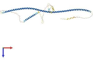 TUFT1 Protein (AA 1-390) (His tag)