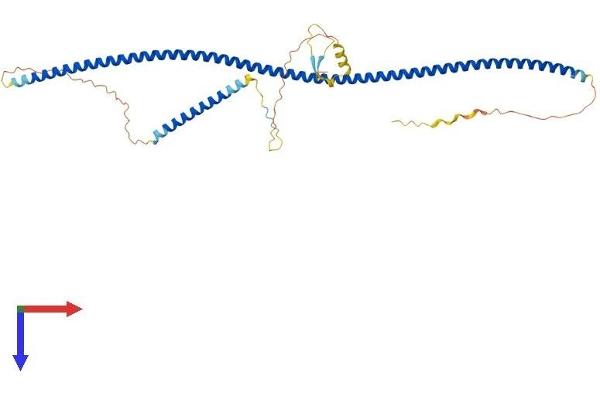 TUFT1 Protein (AA 1-390) (His tag)