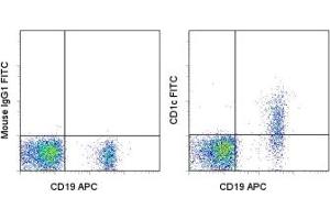Image no. 1 for anti-T-cell surface glycoprotein CD1c (CD1C) antibody (FITC) (ABIN474710) (CD1c Antikörper  (FITC))