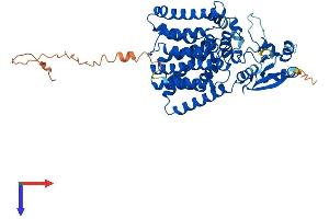 PIGB Protein (AA 1-554) (His tag)