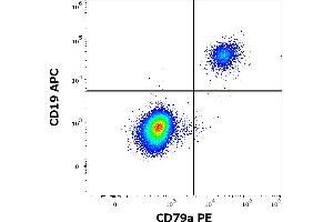 Flow cytometry multicolor surface staining of human lymphocytes using anti-human CD19 (LT19) APC antibody (10 μL reagent / 100 μL of peripheral whole blood) and intracellular staining of human lymphocytes using anti-human CD79a (HM47) PE antibody (10 μL reagent / 100 μL of peripheral whole blood). (CD79a Antikörper  (AA 208-222) (PE))