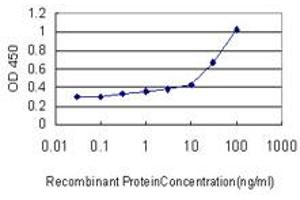 Detection limit for recombinant GST tagged RUNX2 is approximately 10ng/ml as a capture antibody. (RUNX2 Antikörper  (AA 251-350))