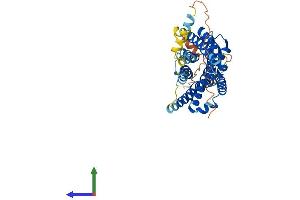 AlphaFold protein structure predicition of Mouse Recombinant Cmklr1 Protein, UniprotID P97468