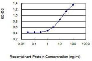 ELISA image for anti-Lactamase, beta 2 (LACTB2) (AA 1-288) antibody (ABIN2752307)