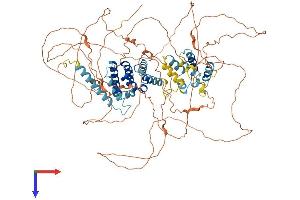 GPRASP2 Protein (AA 1-838) (His tag)