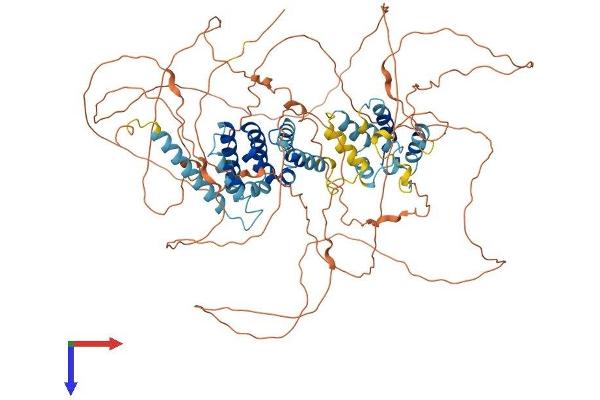 GPRASP2 Protein (AA 1-838) (His tag)
