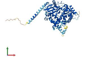 AlphaFold protein structure predicition of Mouse Recombinant Cyp4f14 Protein, UniprotID Q9EP75