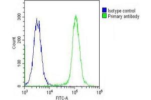 Overlay histogram showing K562 cells stained with (ABIN390856 and ABIN2841078) (green line). (RASIP1 Antikörper  (AA 651-678))