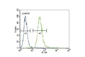Flow cytometric analysis of A549 cells (right histogram) compared to a negative control cell (left histogram). (TNFRSF1A Antikörper  (AA 252-281))