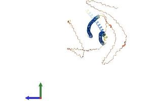 Protein Structure (PS) image for Keratin 10 (KRT10) (AA 1-570) protein (His tag) (ABIN7562725)