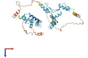 Zinc Finger and SCAN Domain Containing 9 (ZSCAN9) (AA 1-394) protein (His tag)