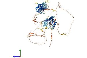 Protein Structure (PS) image for Toll-Like Receptor Adaptor Molecule 1 (TICAM1) (AA 1-712) protein (His tag) (ABIN7555705)