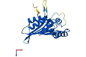 APOBEC3C Protein (AA 1-190) (His tag)