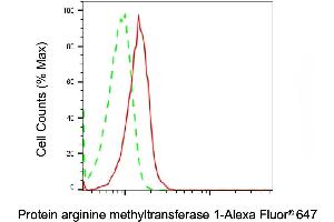 Flow cytometric analysis of Protein arginine methyltransferase 1 expression in HeLa cells using Protein arginine methyltransferase 1 antibody (ABIN7799969), 1:2,000).