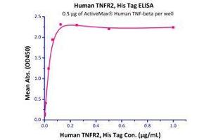 Immobilized  Human TNF-beta (Cat# TNB-H5214) at 5 μg/mL (100 µl/well),can bind Human TNFR2, His Tag (Cat# TN2-H5227) with a linear range of 2-62 ng/mL. (TNFRSF1B Protein (AA 23-257) (His tag))