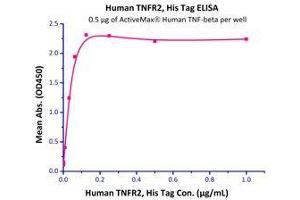 Immobilized  Human TNF-beta (Cat# TNB-H5214) at 5 μg/mL (100 µl/well),can bind Human TNFR2, His Tag (Cat# TN2-H5227) with a linear range of 2-62 ng/mL.