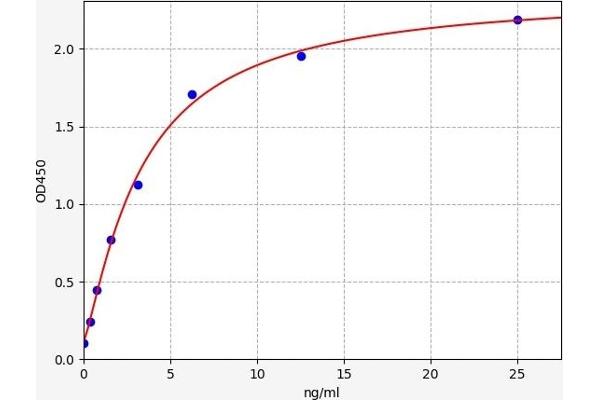 POMC ELISA Kit