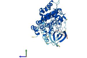 Protein Structure (PS) image for Integrin-Linked Kinase (ILK) (AA 1-452) protein (His tag) (ABIN7548478)
