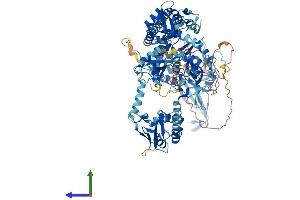 Protein Structure (PS) image for Ubiquitin Specific Peptidase 48 (USP48) (AA 1-1035) protein (His tag) (ABIN7555955)