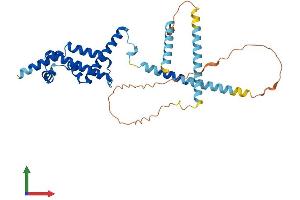 Protein Structure (PS) image for Coiled-Coil Domain Containing 104 (CCDC104) (AA 1-343) protein (His tag) (ABIN7559172)