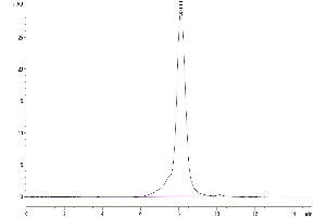 The purity of  IL-13Ra1 is greater than 95 % as determined by SEC-HPLC (IL13 Receptor alpha 1 Protein (AA 27-343) (His tag))