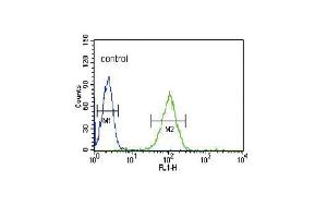 NOS3 Antibody (N-term) (ABIN652267 and ABIN2841142) flow cytometric analysis of HL-60 cells (right histogram) compared to a negative control cell (left histogram). (ENOS Antikörper  (N-Term))
