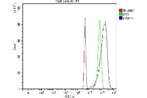Flow Cytometry analysis of SiHa cells using anti-Fibroblast activation protein, alpha/FAP antibody (ABIN7602234). (FAP Antikörper  (AA 65-580))