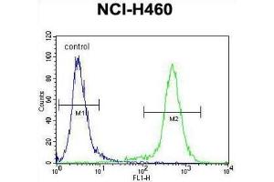 Flow Cytometry (FACS) image for anti-Lipocalin 9 (LCN9) antibody (ABIN2996344) (LCN9 Antikörper)